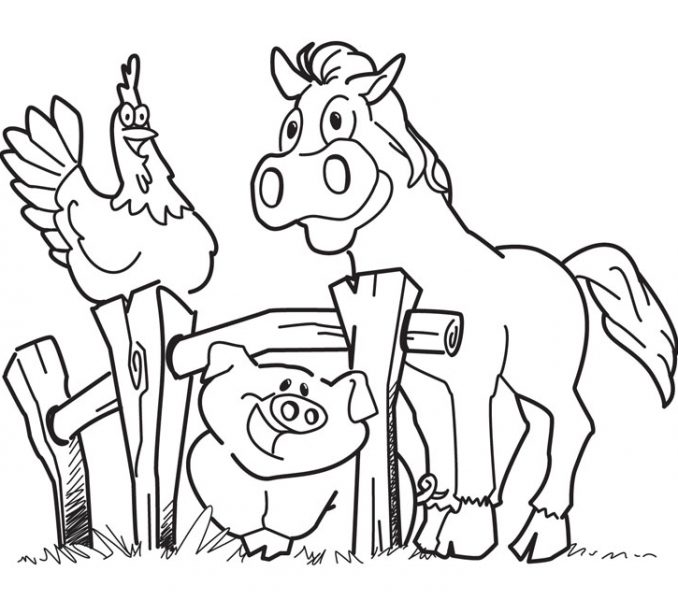 678x600 Farm Colouring Pages Coloring Pages