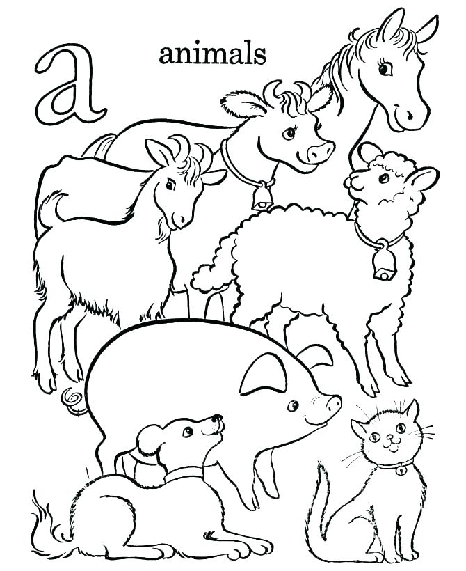 670x820 Farm Coloring Pages Free Animals Coloring Sheet Baby Farm Animal