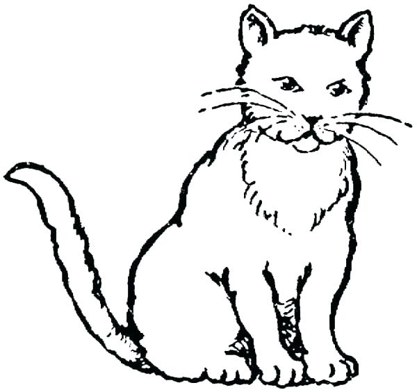 600x564 Coloring Pages Cats Together With Cat Color Pages Printable Dog