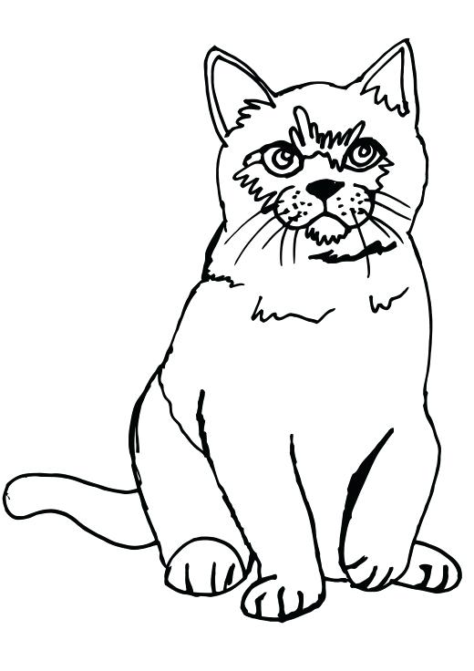 520x736 Best Of Printable Cat Coloring Pages Images Cat Sitting Coloring