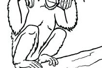 210x140 Swat Team Coloring Pages