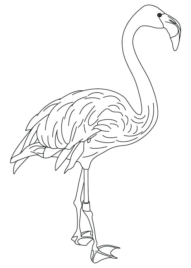 613x860 Bird Feather Coloring Pages Coloring Pages Of Birds Coloring Pages