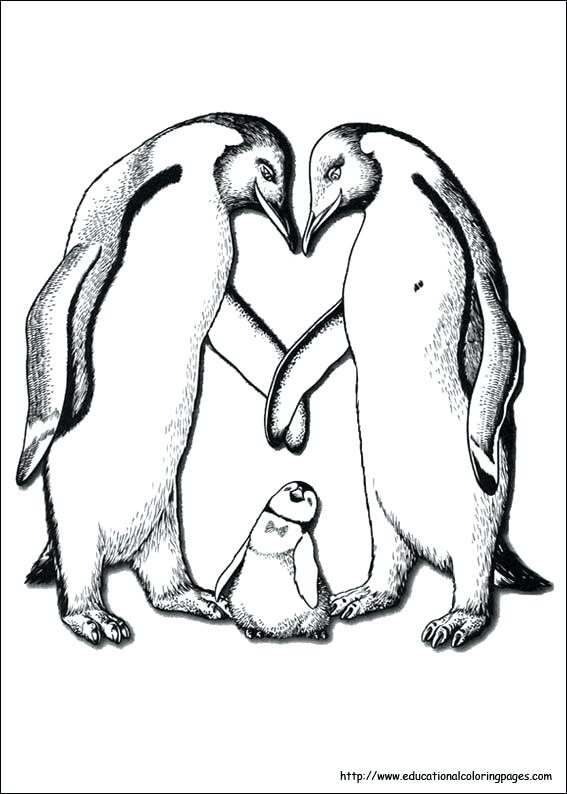 567x794 Feet Coloring Pages