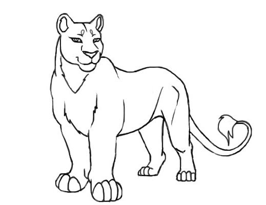 519x400 Female Lion Coloring Page Kids Coloring Pages