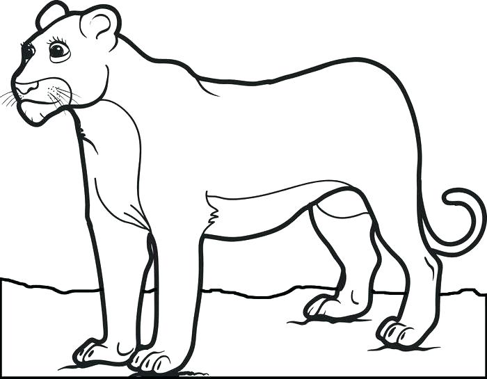 700x545 Lion Color Page Coloring Pages Of Lions Female Lion Coloring