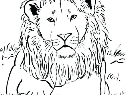 440x330 Coloring Pages Lions Female Lion Coloring Page Free Printable