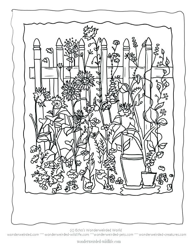 612x792 Flower Garden Coloring Pages Plus Flower Garden Coloring Page