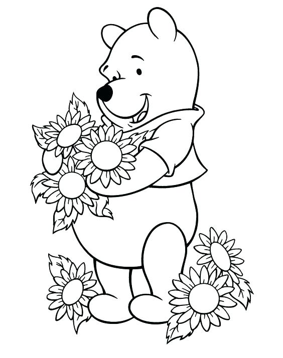 564x714 Sunflower Coloring Page Sunflower Coloring Pages Printable