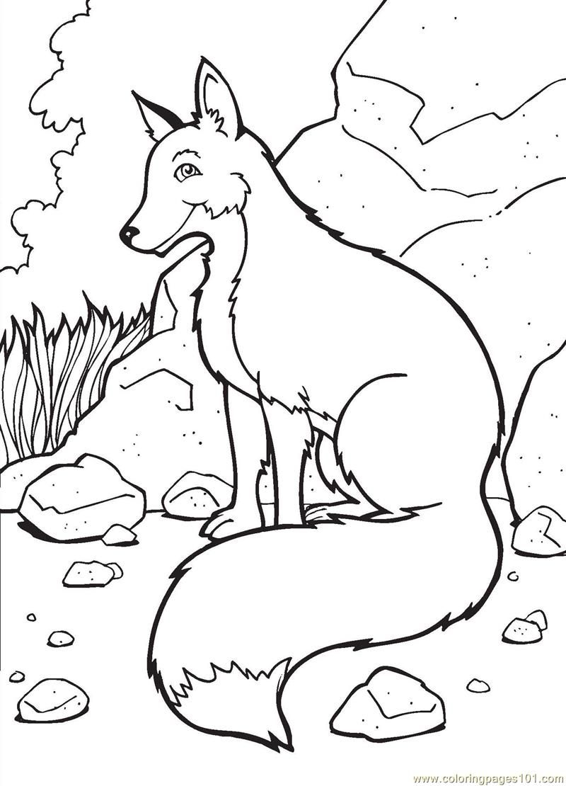 800x1110 Cute Fennec Fox Coloring Page Free Printable Pages Lovely