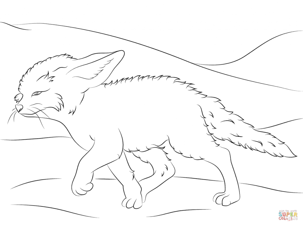 1024x764 Cute Fennec Fox Walks For Coloring Pages
