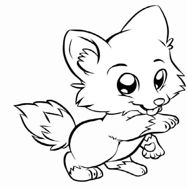 600x600 Cute Fox Coloring Pages