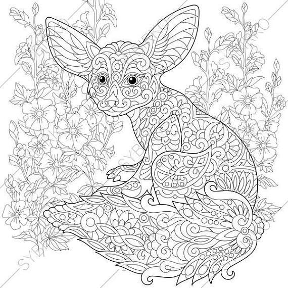 570x570 Fennec Fox Mallow Flowers Coloring Pages Animal Coloring Book