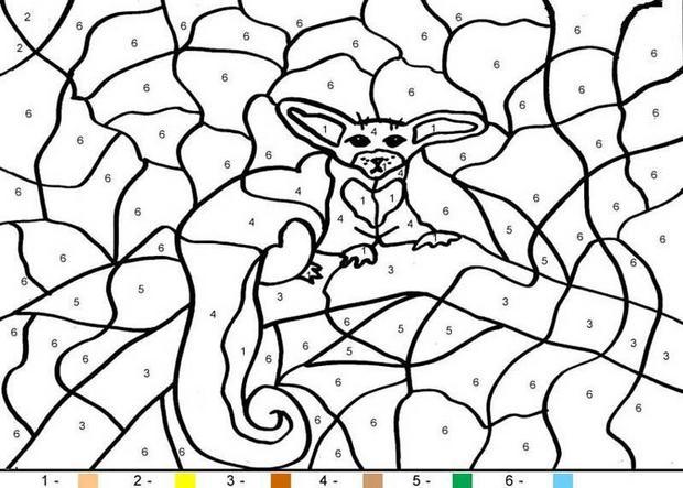 620x443 Fennec Fox Coloring Pages