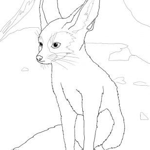 308x308 Simple Fennec Fox Coloring Pages