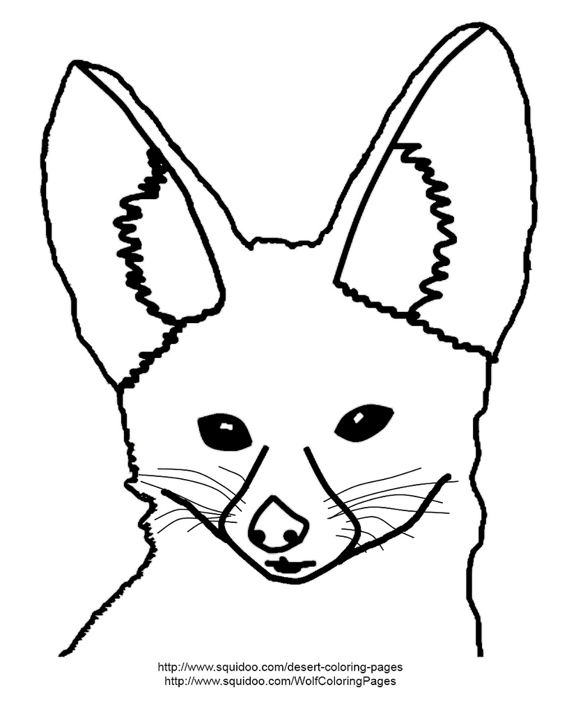 817x1024 Fennec Fox Coloring Page Fennec Fox Coloring Page Adapted