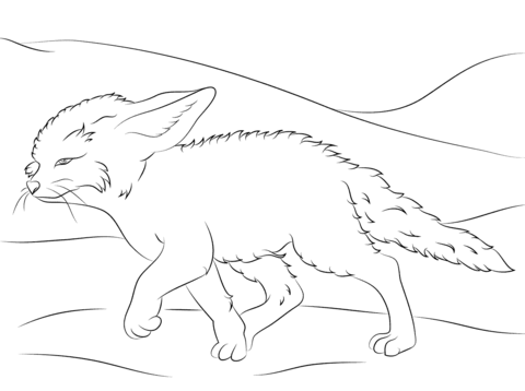 480x358 Fennec Fox Coloring Page Cute Fennec Fox Walks Coloring Page Free