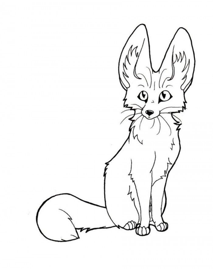 700x885 Fennec Fox Coloring Page Fennec Fox Coloring Pages Coloring Home