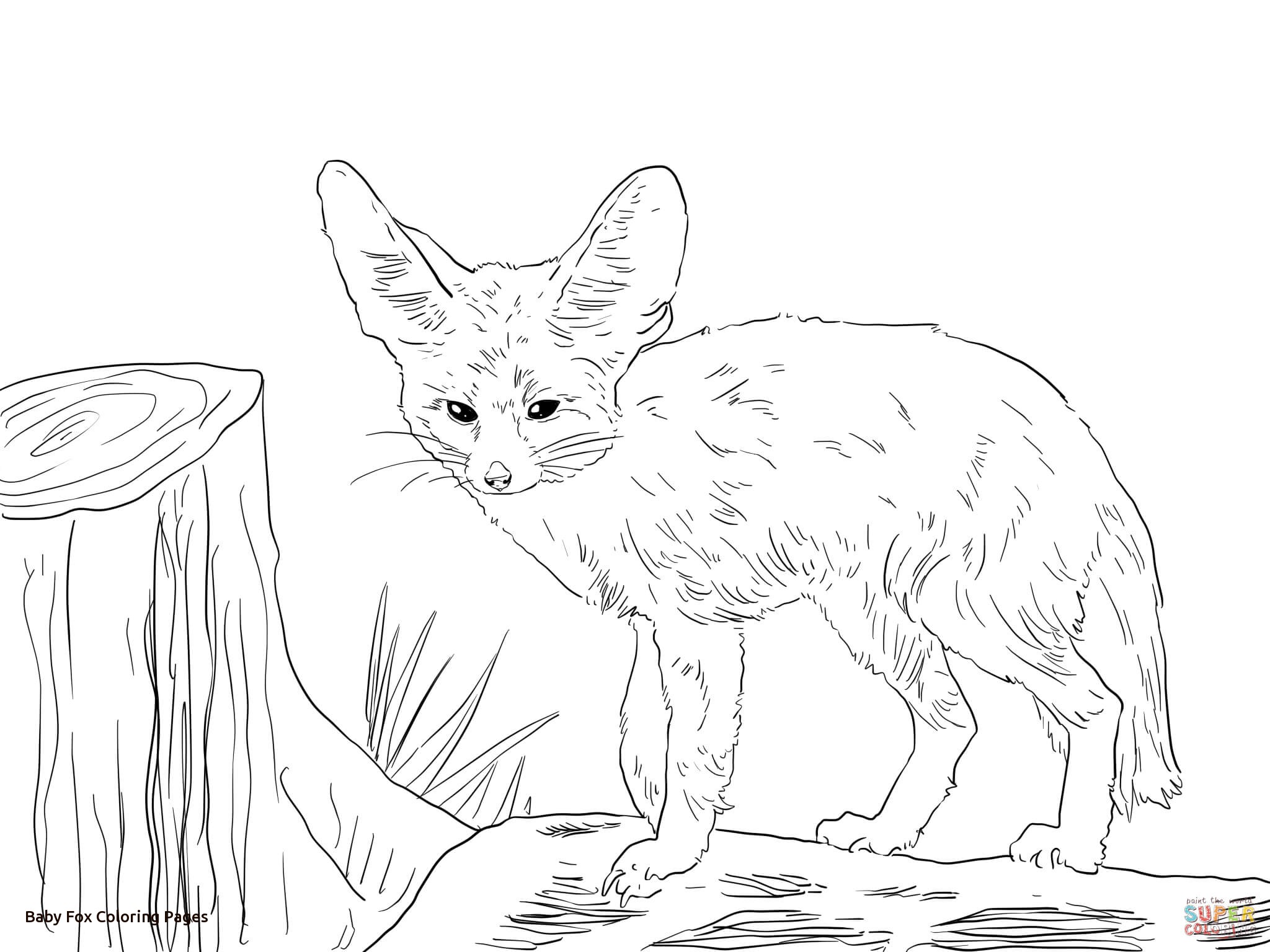2048x1536 Baby Fox Coloring Pages
