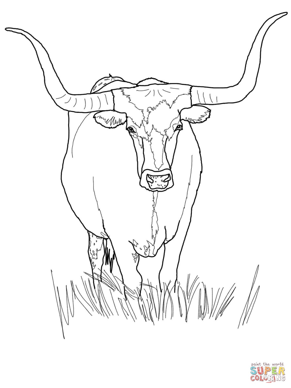 1200x1600 Bull Coloring Page Free Draw To Color