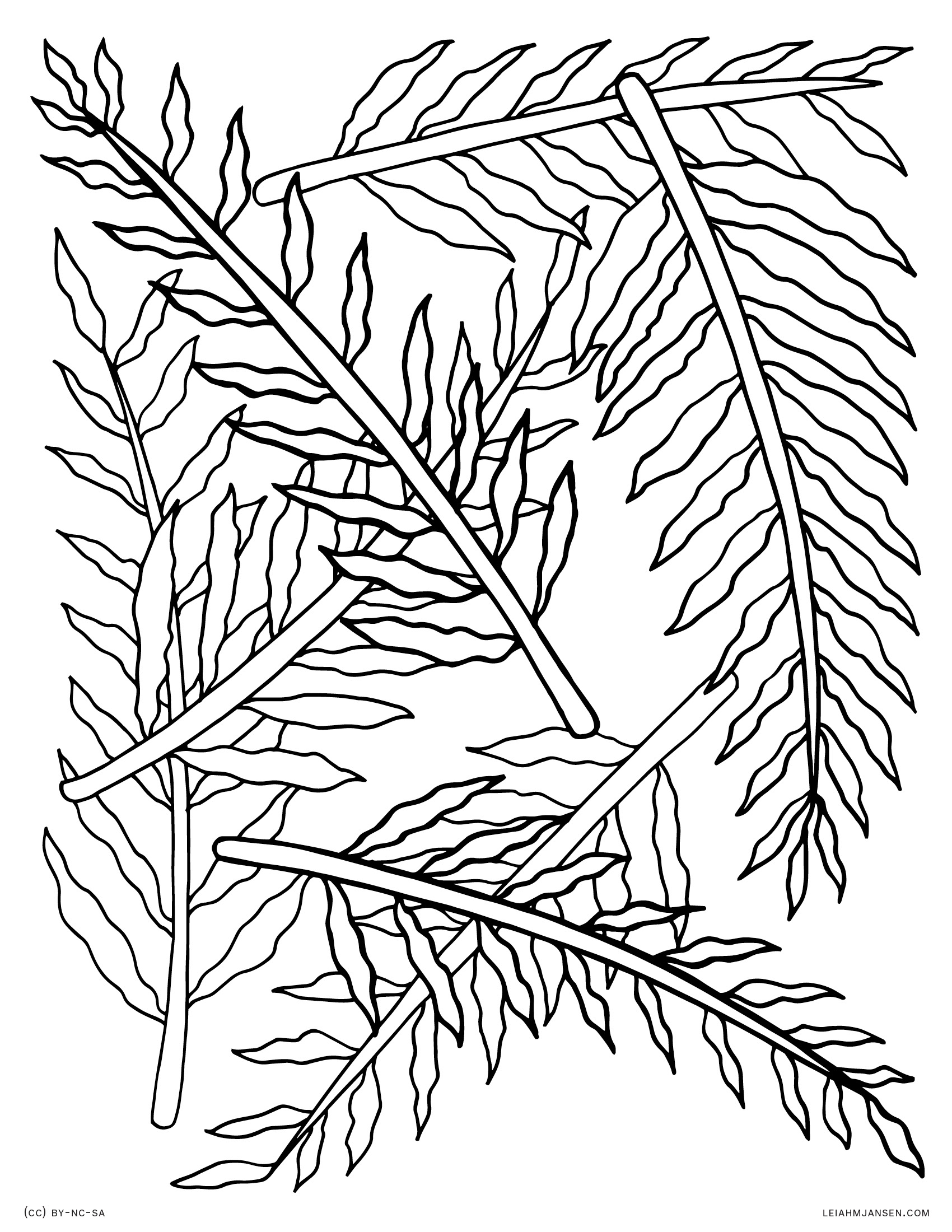 1700x2200 Ferns Tree Coloring Pages Free Coloring For Kids
