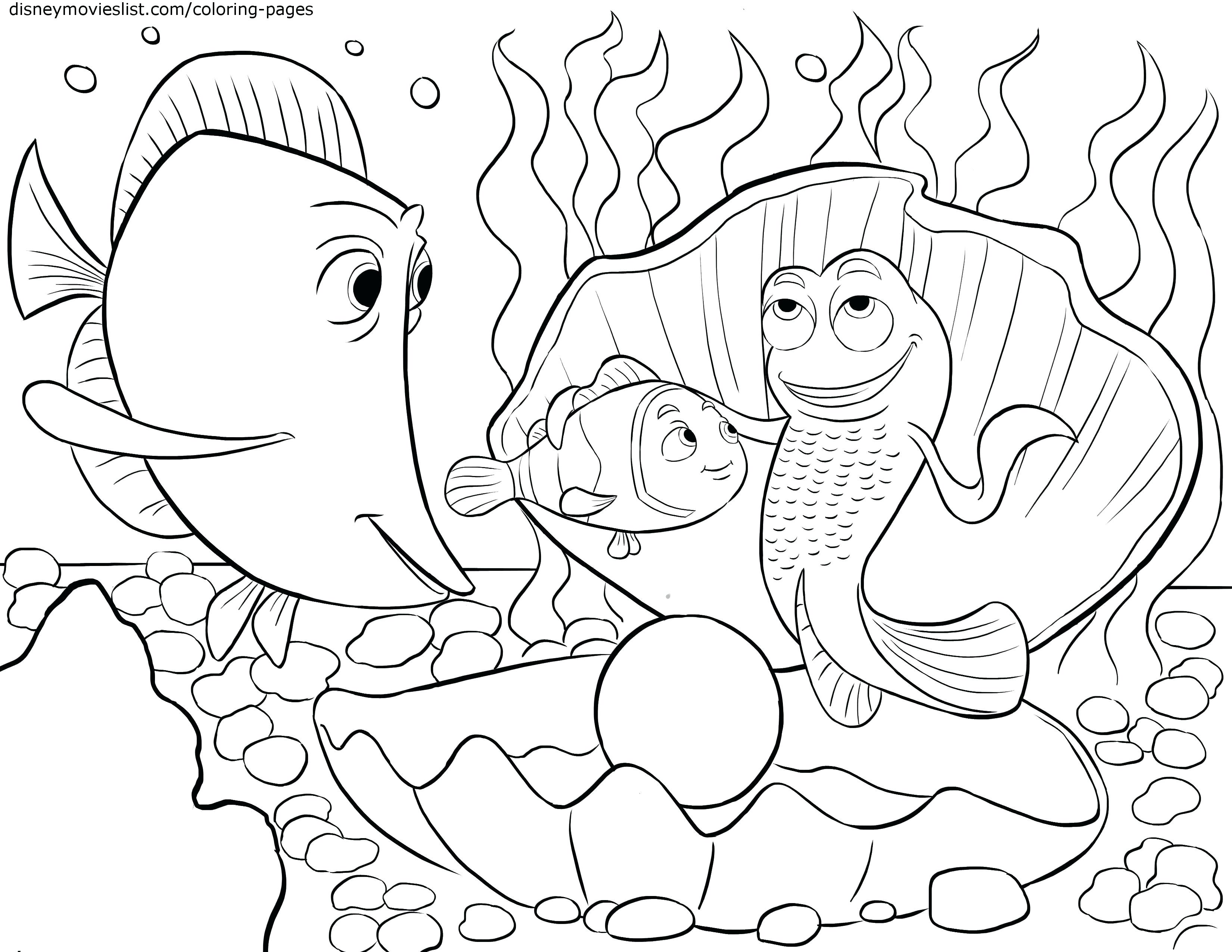 3300x2550 Impressive Ferret Coloring Pages Gallery