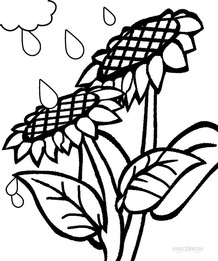 708x850 Printable Sunflower Coloring Pages For Kids Plant