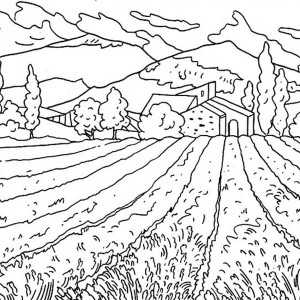 300x300 The Sun And Plants Of Nature Coloring Page Color Luna