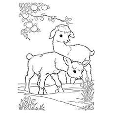 230x230 Top Free Printable Goat Coloring Pages Online