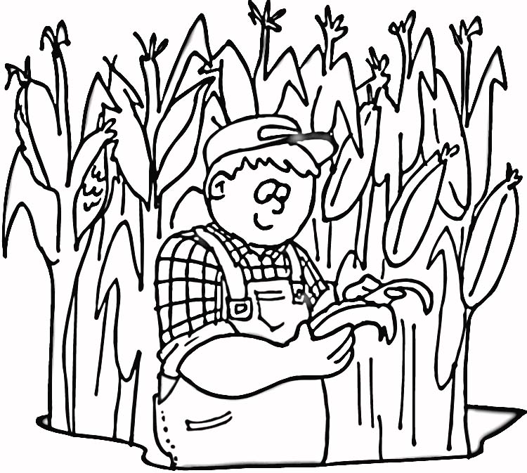 750x673 Corn Field Coloring Page Corn Stalks Coloring Pages Field