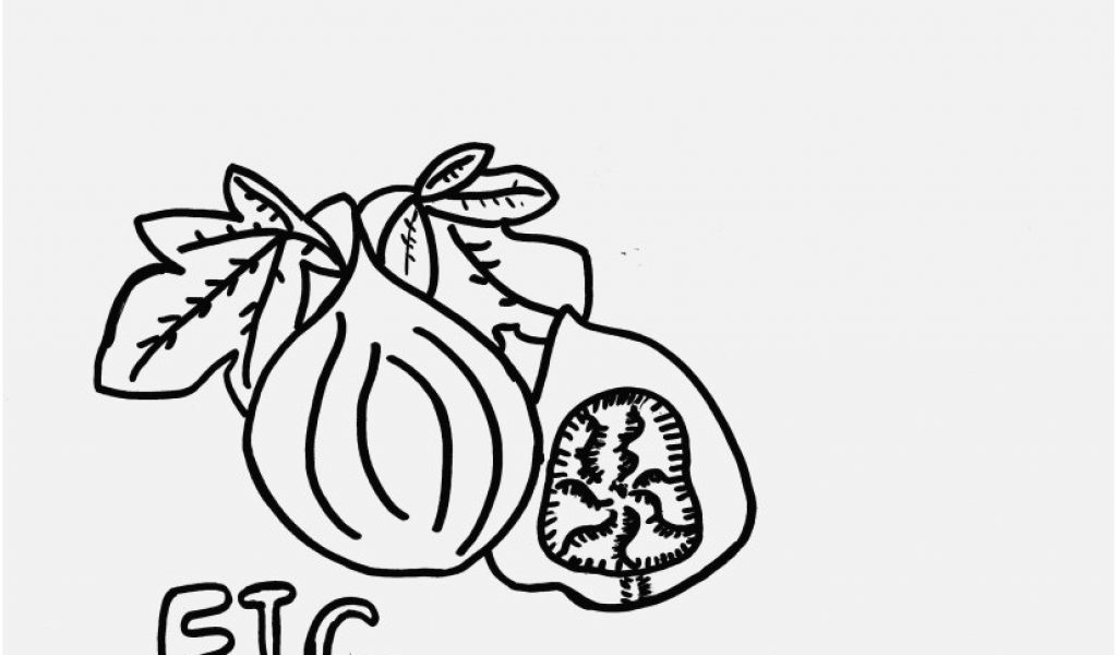 1024x600 Denver Broncos Coloring Pages Photographs Awesome Fig Coloring