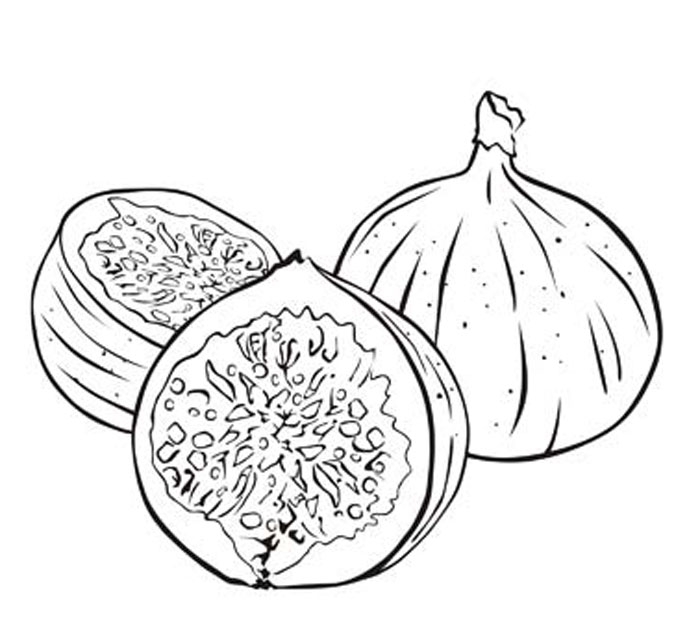 700x617 Fig Coloring Page Fig Coloring Page Genkilife