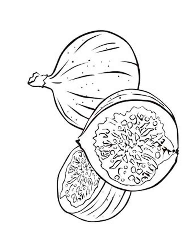 750x1000 Figs Coloring Pages Download And Print Figs Coloring Pages