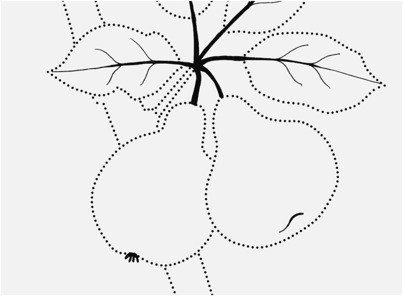 Fig Tree Coloring Page at GetDrawings | Free download