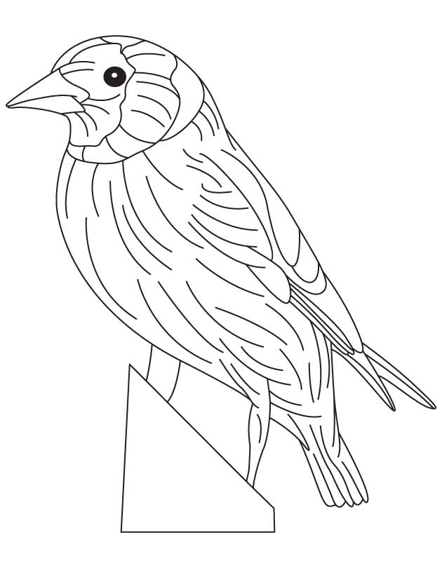 630x810 Cyclone Coloring Pages
