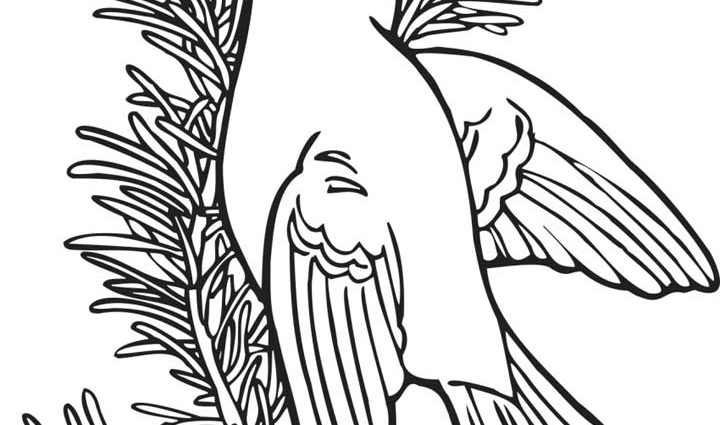 720x425 Goldfinch Coloring Page Willow Gold Finch Coloring Page For Kids