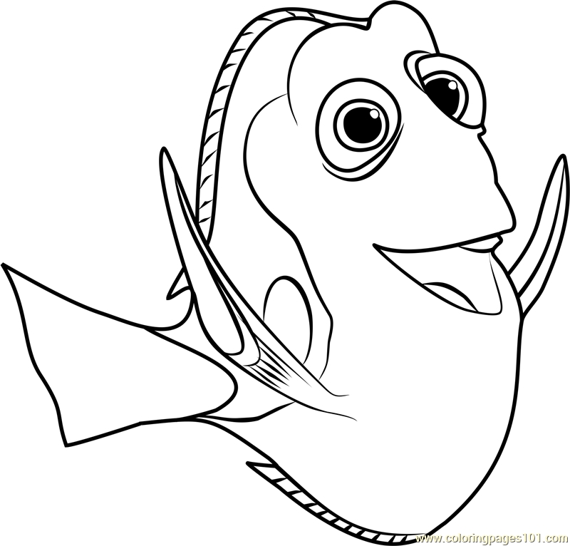 800x766 Nemo And Dory Coloring Pages Pictures Free Coloring Pages