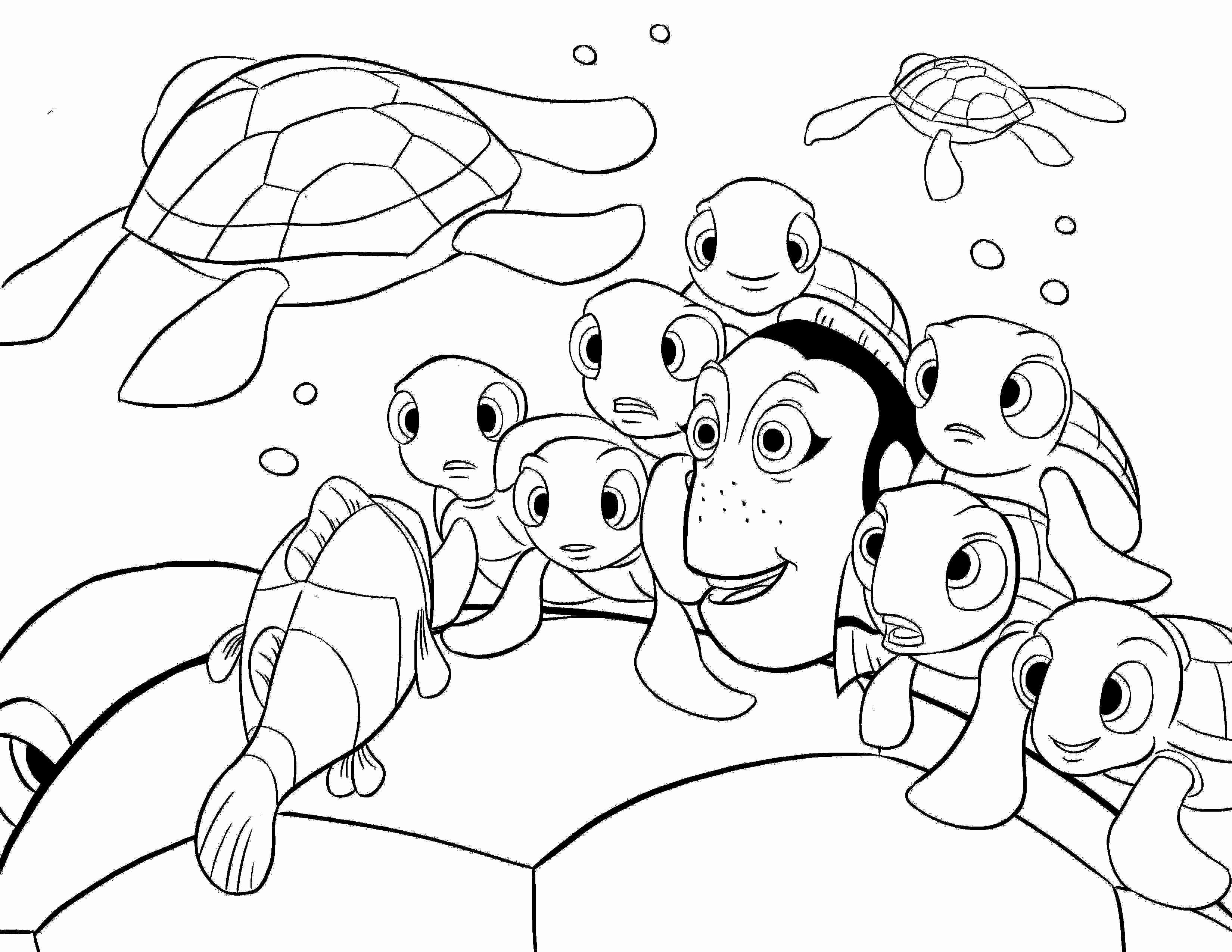 3300x2550 Finding Nemo Printable Coloring Page Of General Sheet For Kids
