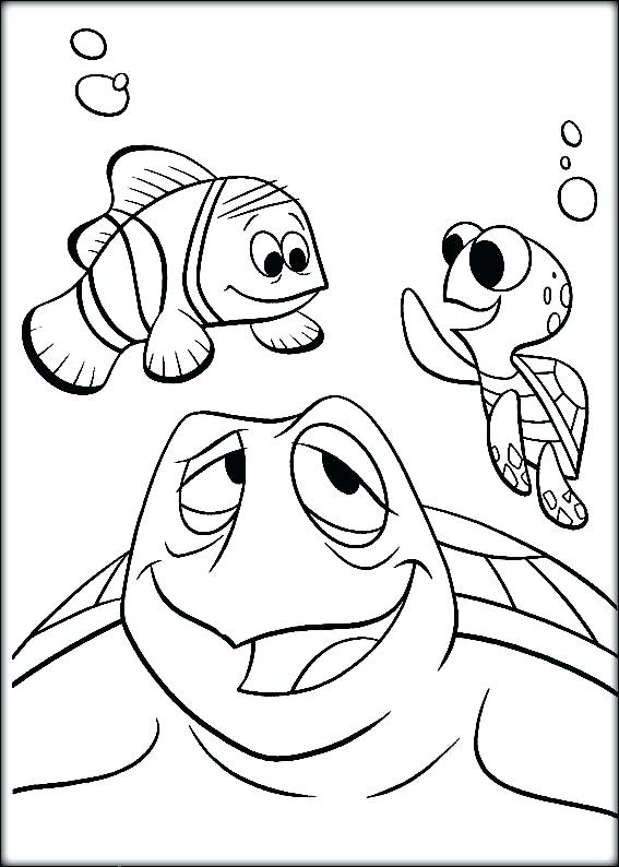 567x794 Squirt Finding Coloring Pages Printable Color Free Finding Nemo