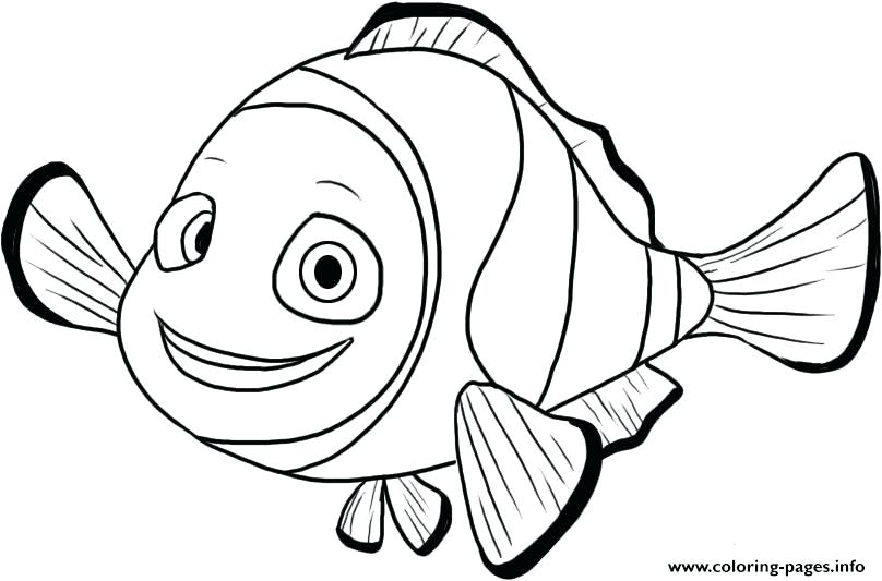 808x533 Finding Nemo Characters Coloring Pages