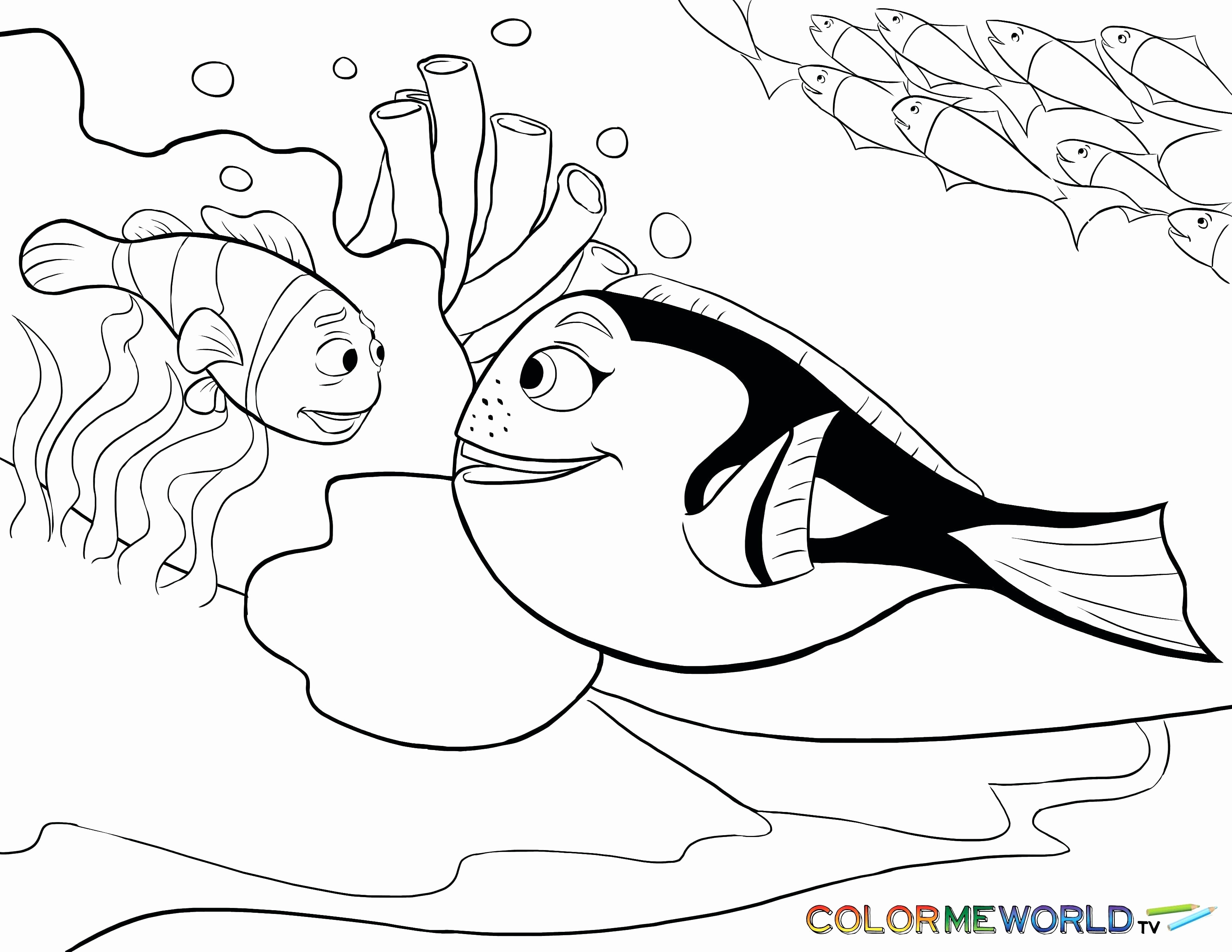 3300x2550 Findingo Coloring Pages Free Sheets Pdf Bruce The Shark Finding