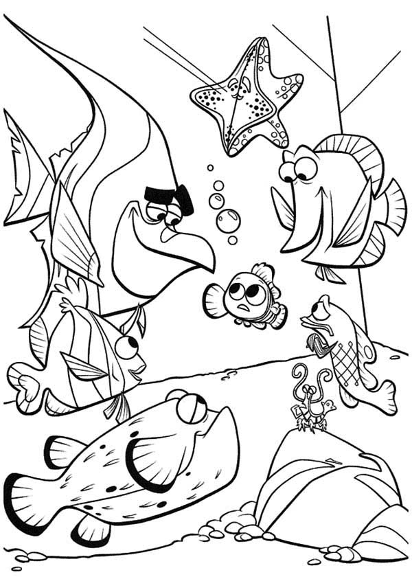 600x843 Finding Nemo Coloring Pages