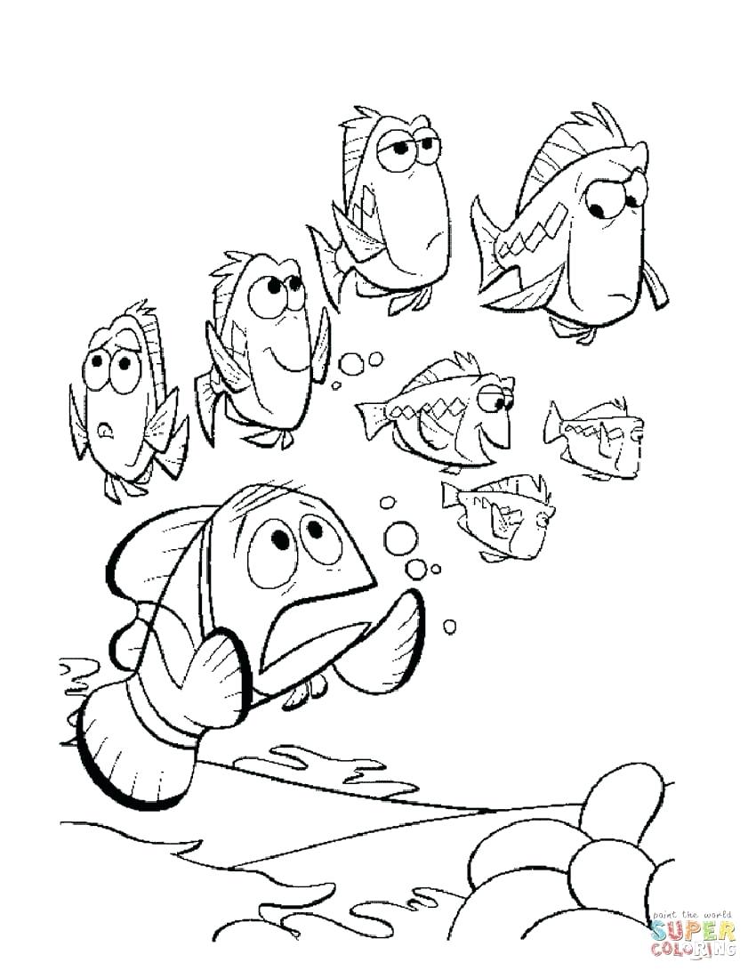850x1100 Coloring Pages Nemo Coloring Pages Finding Squirt Nemo Coloring