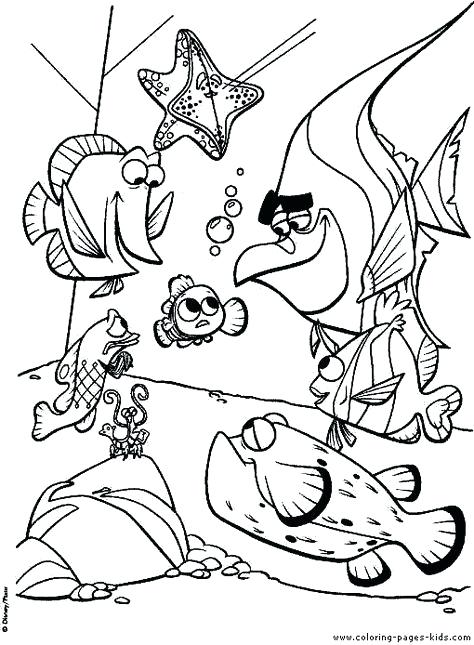 474x645 Finding Coloring Pages Squirt From Finding Coloring Page Finding