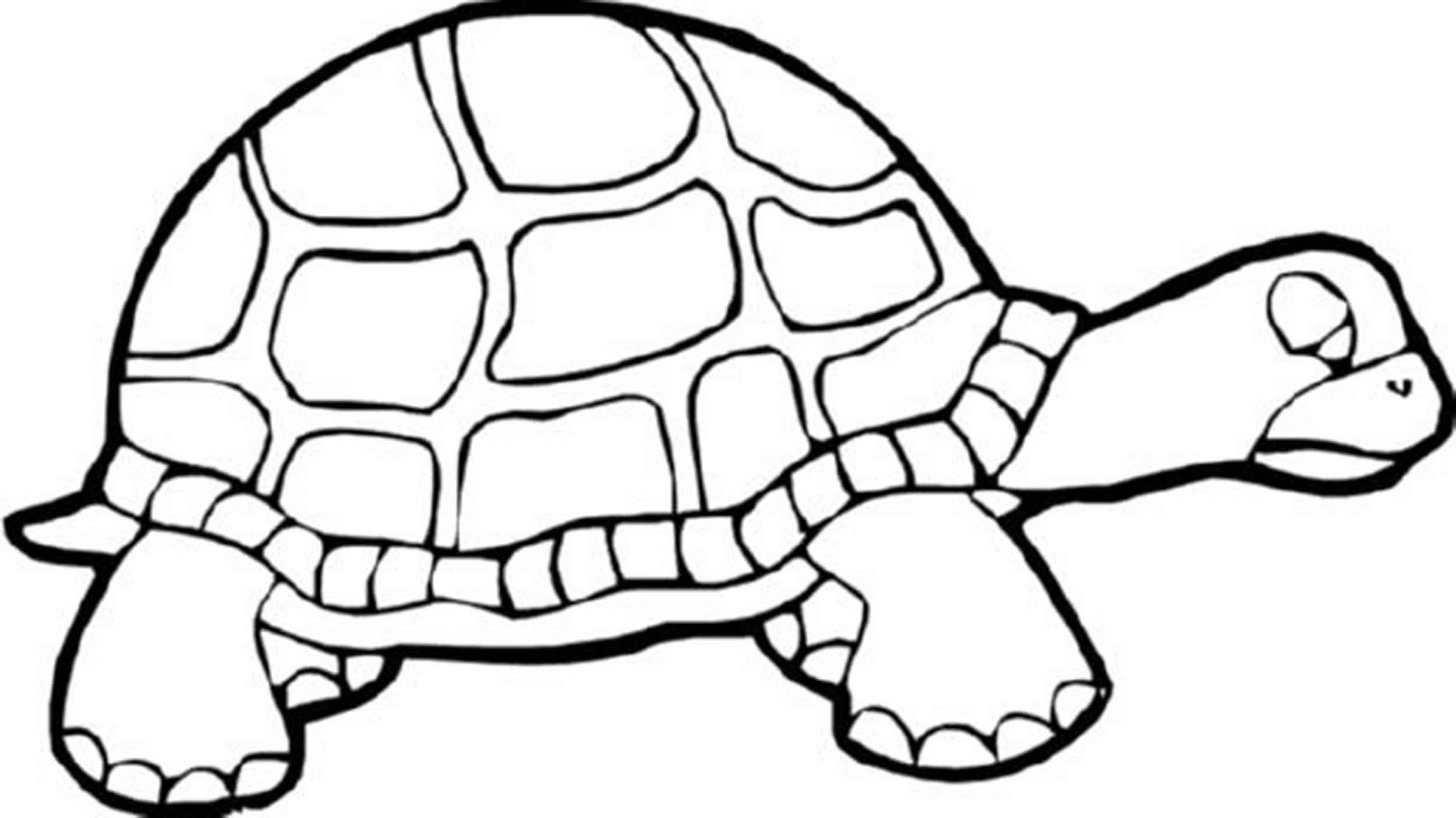 2500x1405 Direct Finding Nemo Turtle Coloring Pages List
