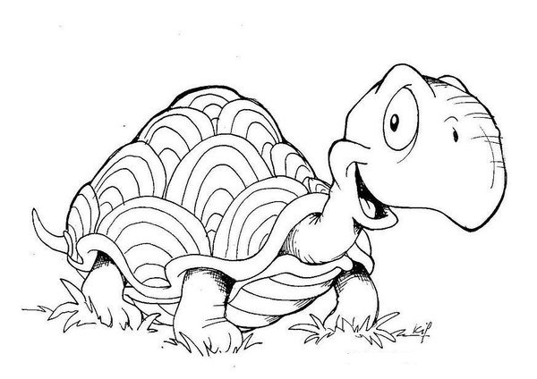 600x424 Finding Nemo Turtle Coloring Pages Page Image Clipart Images