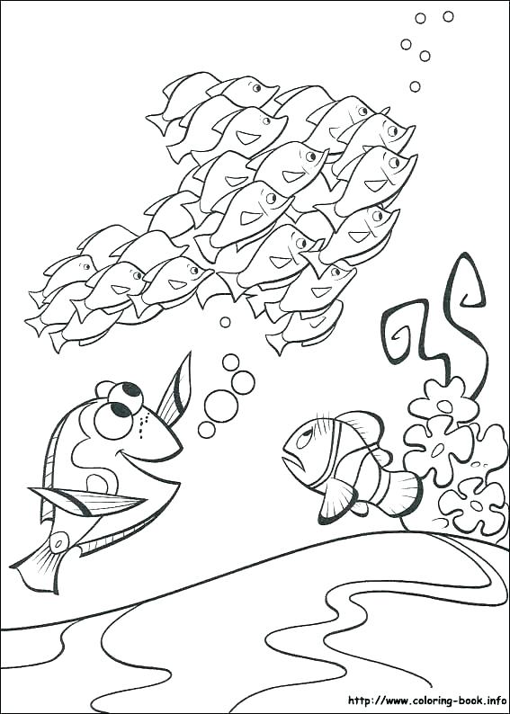 567x794 Coloring Pages For Kids Finding Coloring Pages Finding Nemo Turtle
