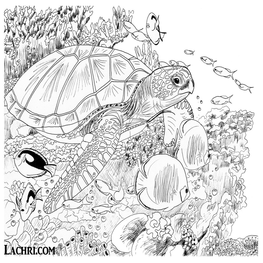 1024x1024 Fine Art Coloring Pages Fine Art Coloring Pages Sea Turtle Colored