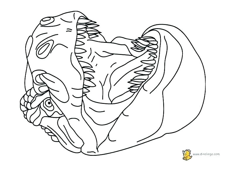 792x576 Puppet Coloring Pages Hand Puppet Coloring Page Playing Hand