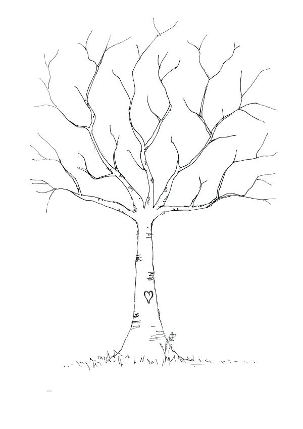 600x849 Charming Tree Without Leaves Coloring Page X Fall Tree Leaves