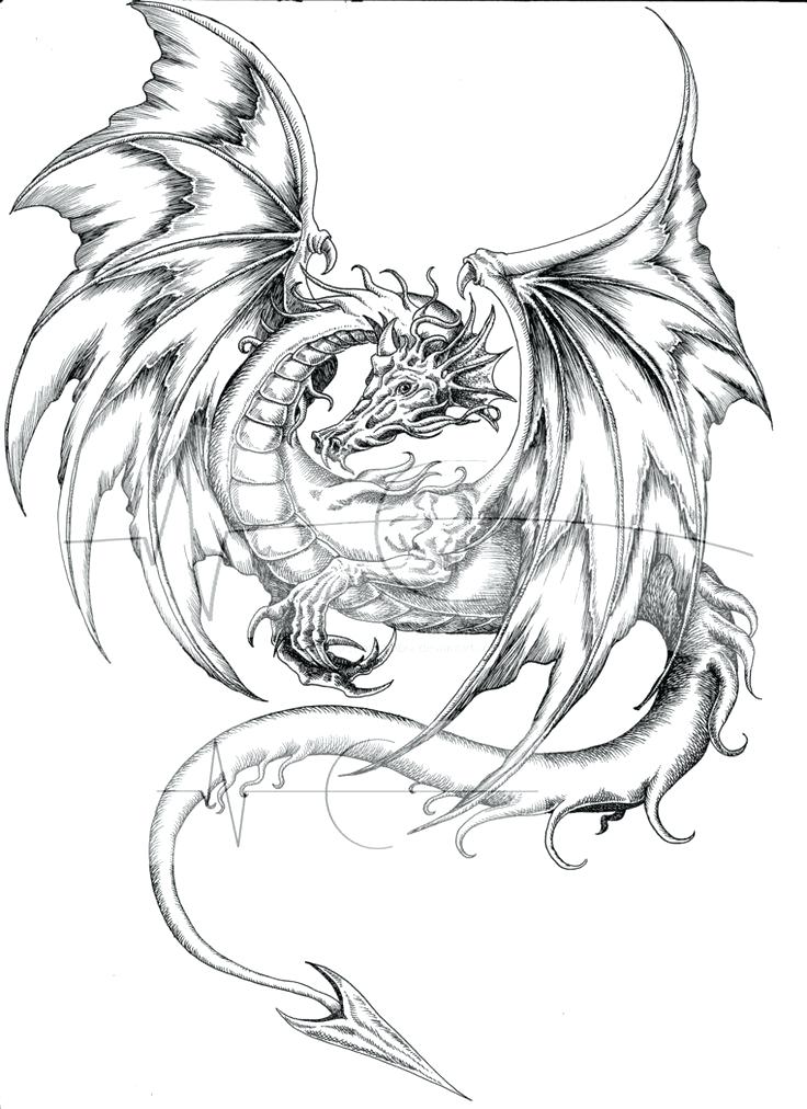 736x1012 Real Dragon Coloring Pages Fire Breathing Dragon Coloring Page